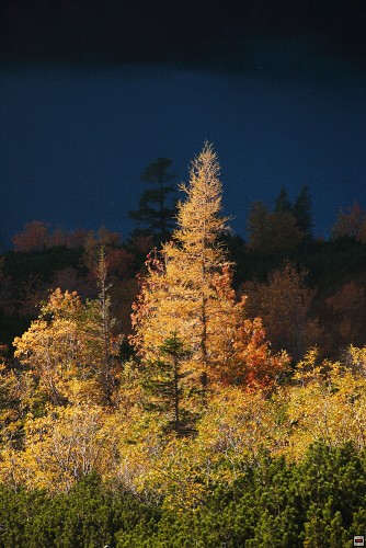 img00125.jpg