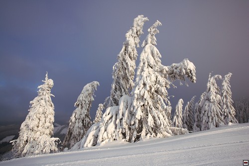 img00127.jpg