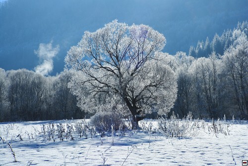 img00129.jpg