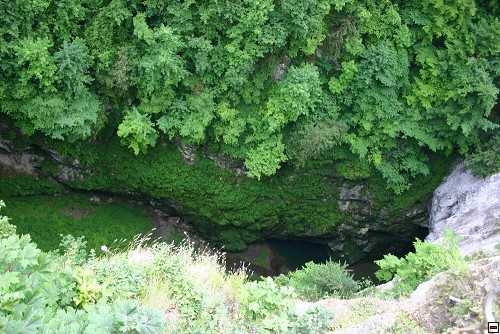 img00016.jpg