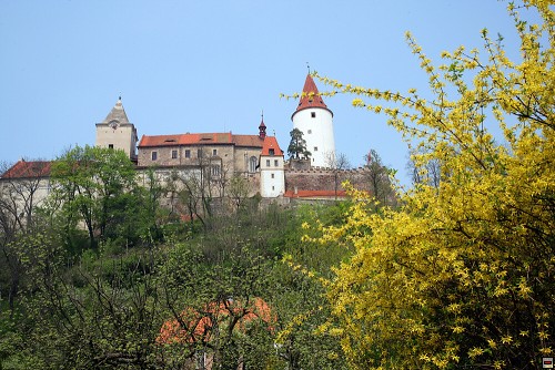 img00024.jpg