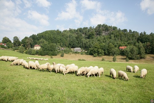 img00067.jpg