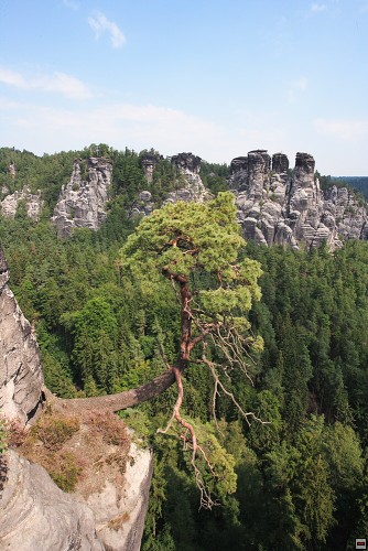 img00010.jpg