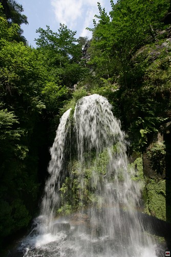 img00013.jpg