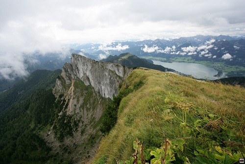 img00007.jpg