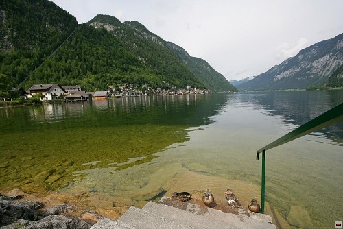 img00008.jpg