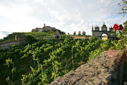 img00020.jpg